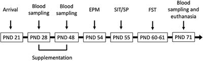 Adult Male Rats Show Resilience to Adolescent Bisphenol A Effects on Hormonal and Behavioral Responses While Co-Exposure With Hop Extracts Supports Synergistic Actions